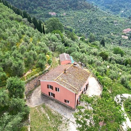 Olive House Tuscany - Zona Pisa Calci Eksteriør bilde