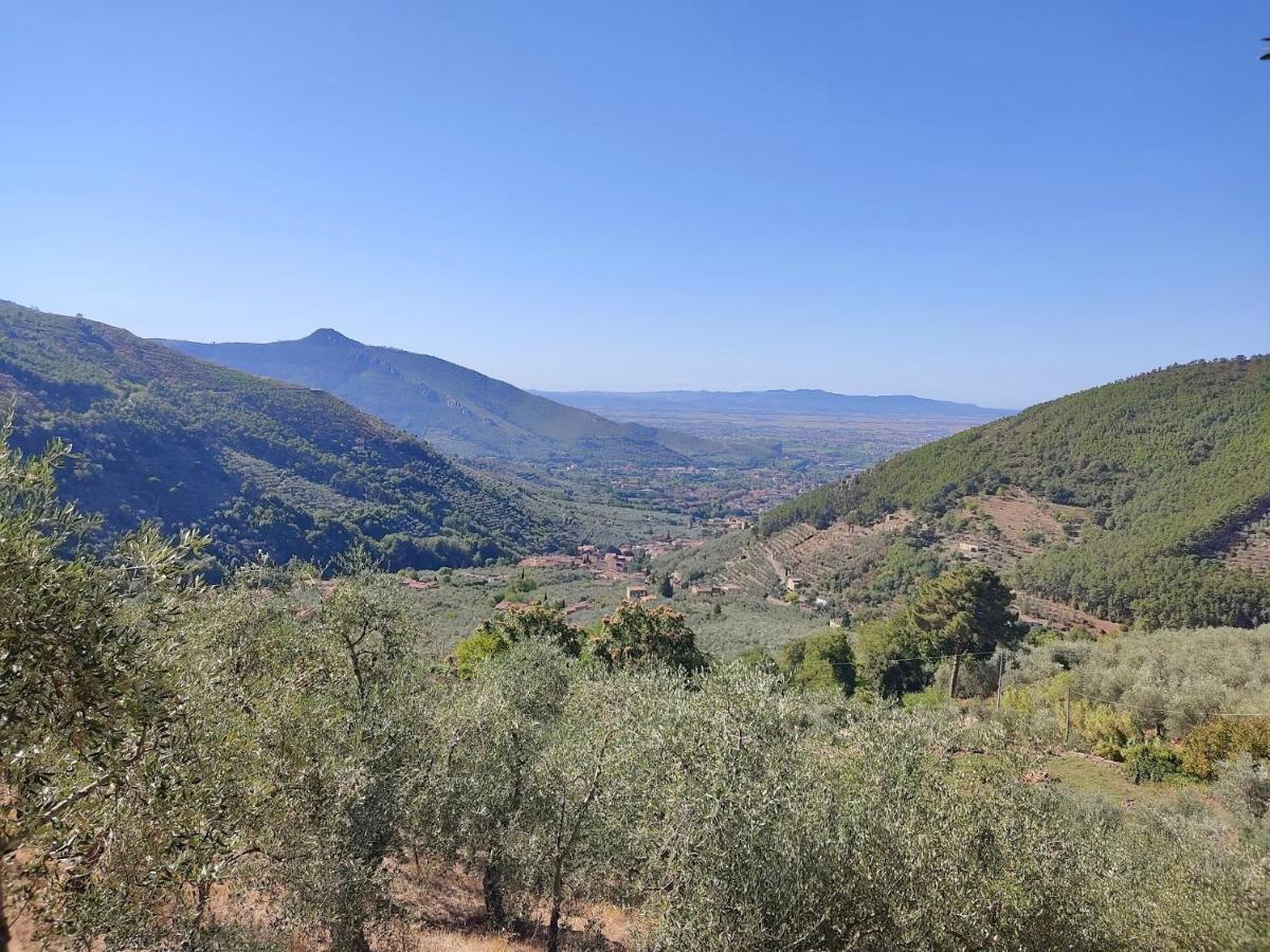 Olive House Tuscany - Zona Pisa Calci Eksteriør bilde
