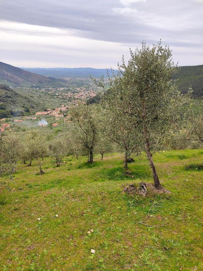 Olive House Tuscany - Zona Pisa Calci Eksteriør bilde