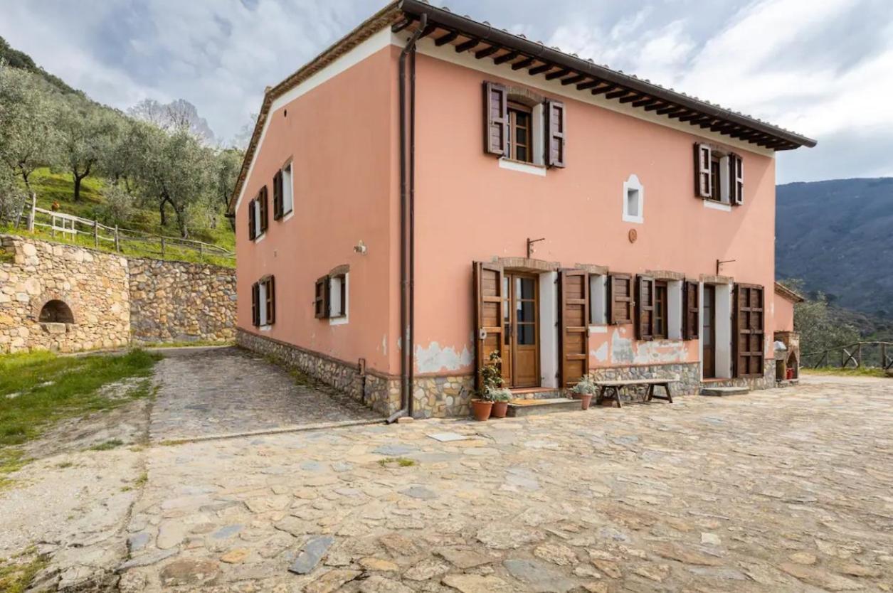 Olive House Tuscany - Zona Pisa Calci Eksteriør bilde