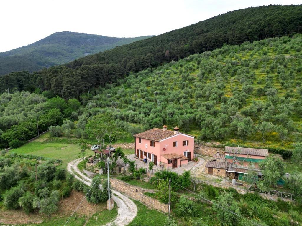 Olive House Tuscany - Zona Pisa Calci Eksteriør bilde
