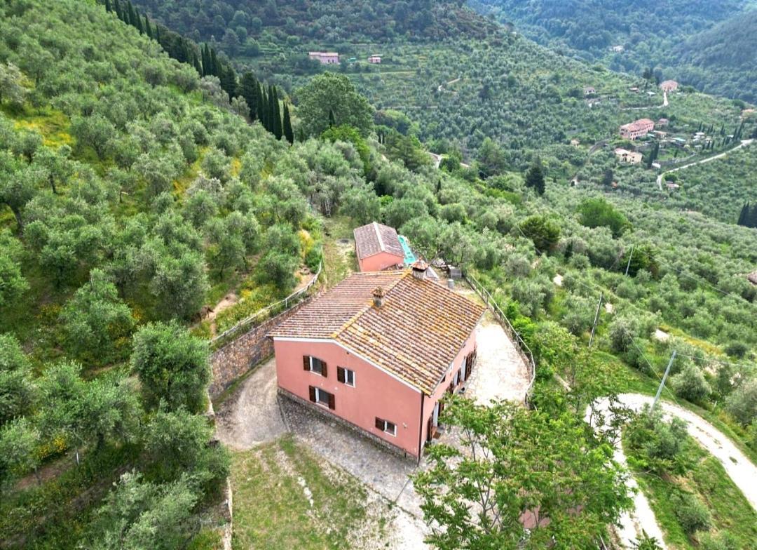 Olive House Tuscany - Zona Pisa Calci Eksteriør bilde
