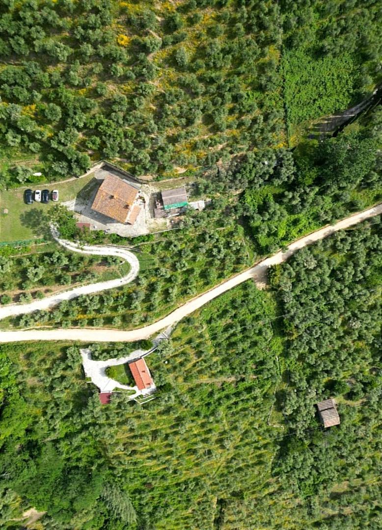 Olive House Tuscany - Zona Pisa Calci Eksteriør bilde